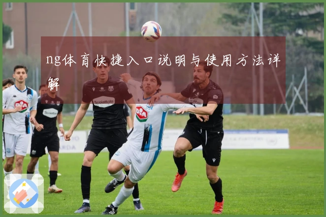 ng体育快捷入口说明与使用方法详解