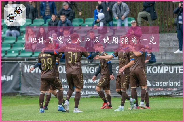 ng体育官方入口及使用指南一览