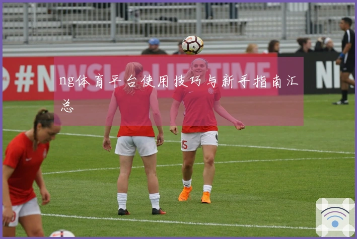 ng体育平台使用技巧与新手指南汇总