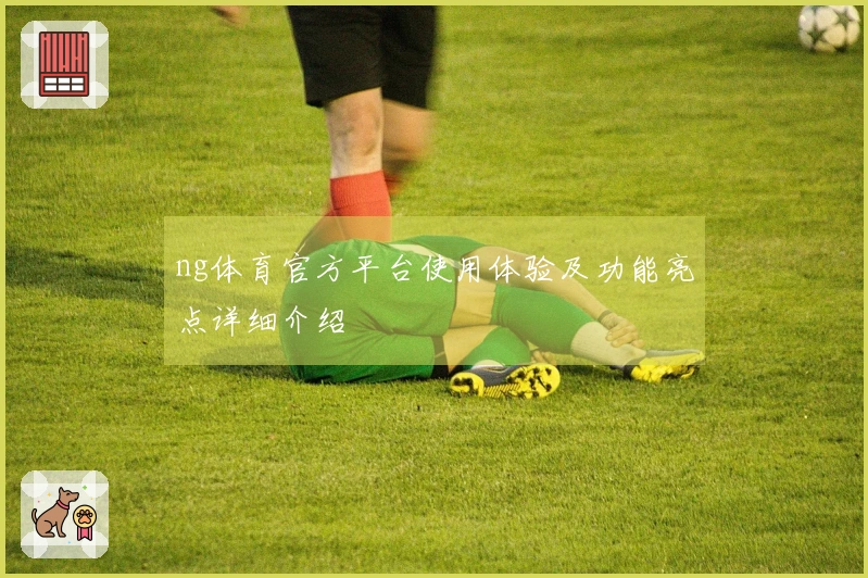 ng体育官方平台使用体验及功能亮点详细介绍