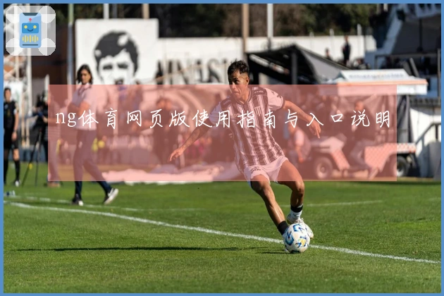 ng体育网页版使用指南与入口说明