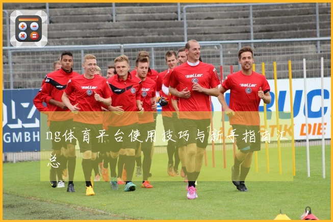 ng体育平台使用技巧与新手指南汇总