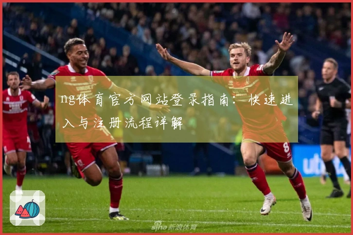 ng体育官方网站登录指南：快速进入与注册流程详解