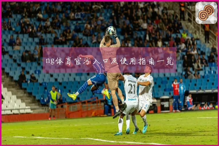 ng体育官方入口及使用指南一览